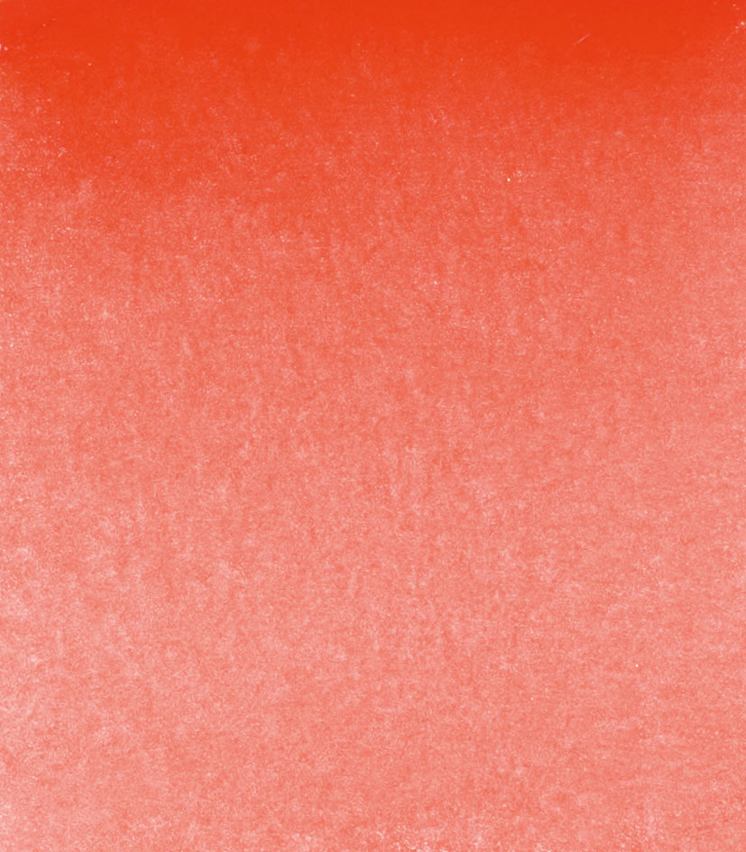 Permanentrot