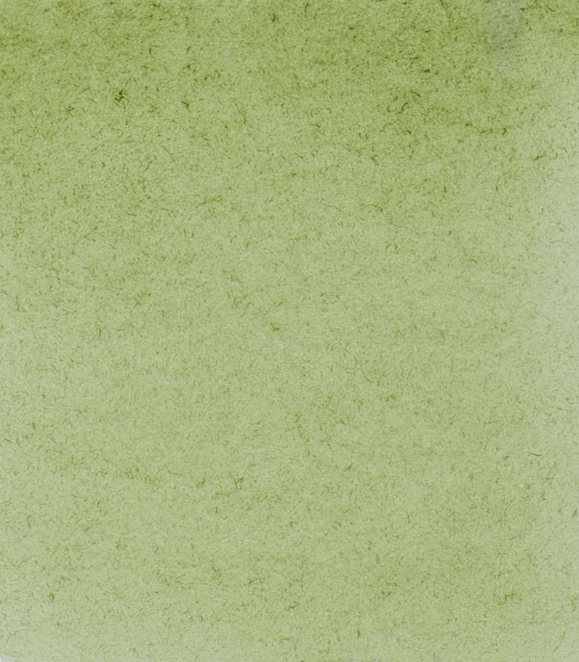 Grüne Erde
